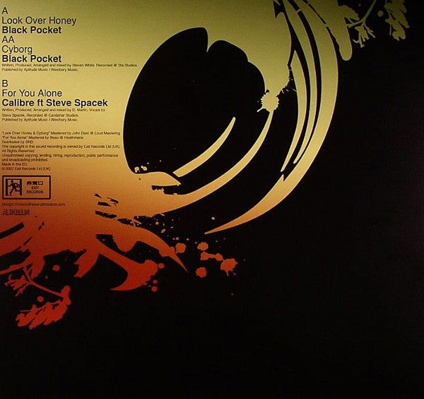 Steve Spacek Presents Black Pocket : Steve Spacek Presents Black Pocket Vol. Two (12")