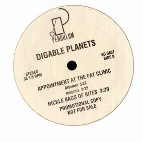 Digable Planets : Nickel Bags / Appointment At The Fat Clinic (12", Promo)