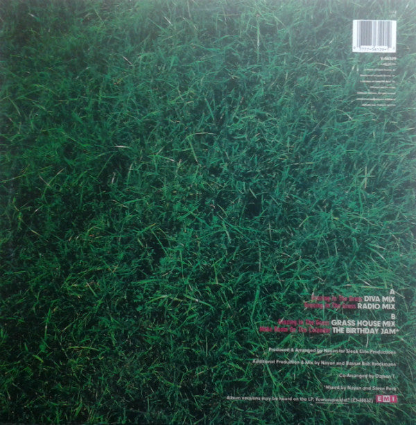 cc: DIVA : Grazing In The Grass (12")