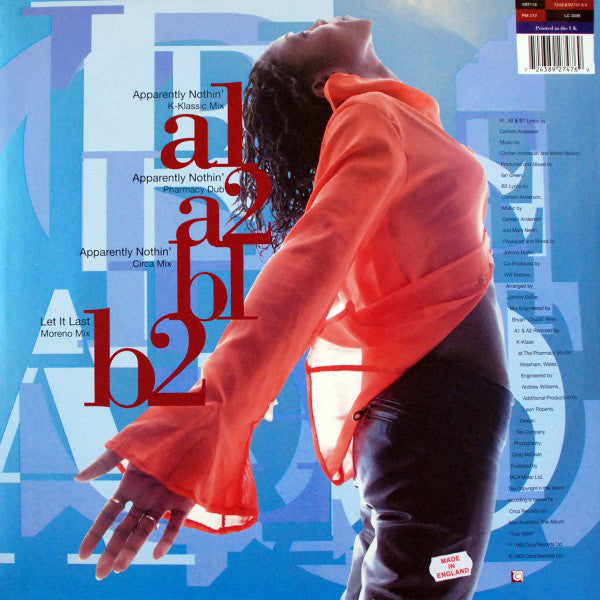Carleen Anderson : Let It Last (12")