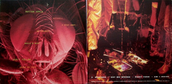 Alice In Chains : Jar Of Flies / Sap (LP, EP + LP, S/Sided, EP, Etch + Comp, Ltd)