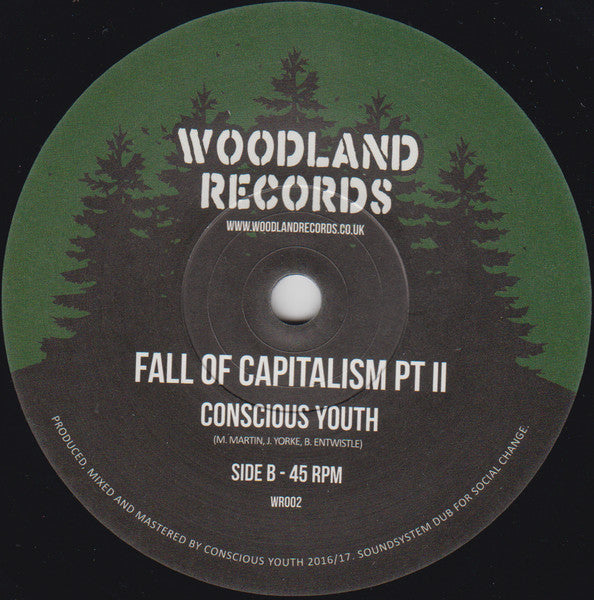 Conscious Youth (2) : Fall Of Capitalism (7", Single)