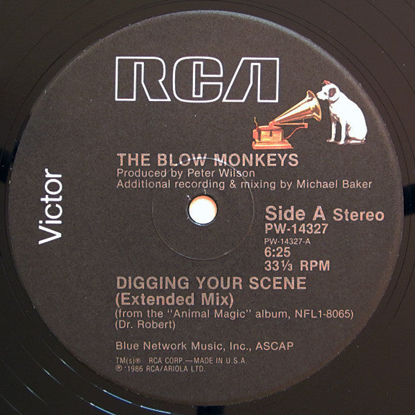 The Blow Monkeys : Digging Your Scene (12")