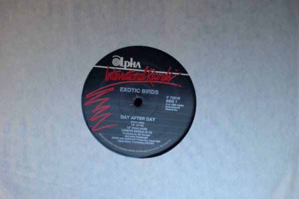 Exotic Birds : Day After Day (12", Maxi)