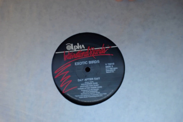 Exotic Birds : Day After Day (12", Maxi)