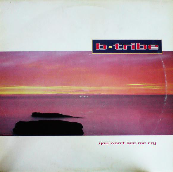 B-Tribe : You Won't See Me Cry (12")