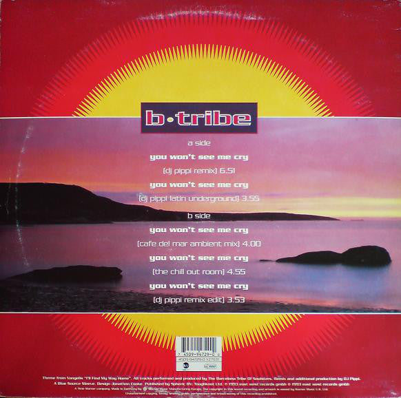 B-Tribe : You Won't See Me Cry (12")