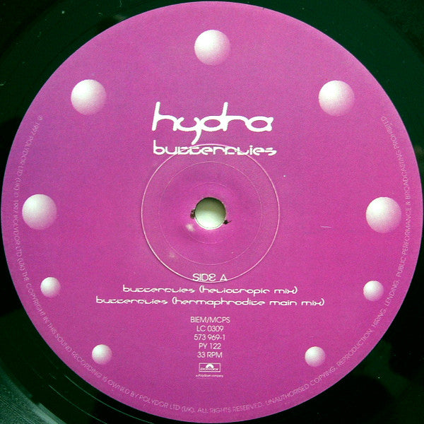 Hydra : Butterflies (12")