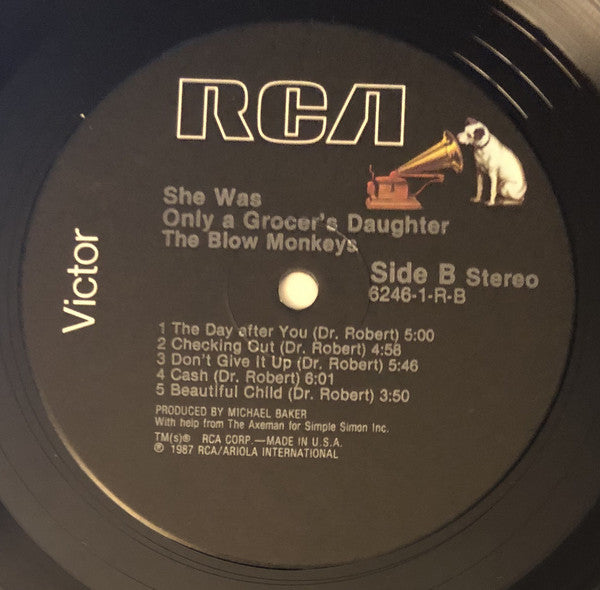The Blow Monkeys : She Was Only A Grocer's Daughter (LP, Album)