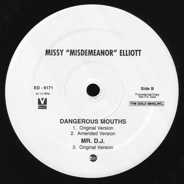 Missy "Misdemeanor" Elliott* : All N My Grill (12", Promo)