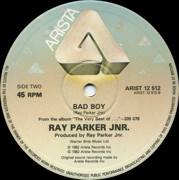 Ray Parker Jnr.* : You Can't Change That (12")