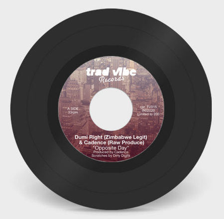 Dumi Right : Opposite Day / Nightfall Remix (7", Ltd)