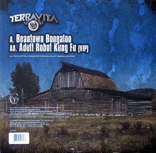 Terravita : Beantown Boogaloo / Adult Robot Kung Fu (VIP) (12")