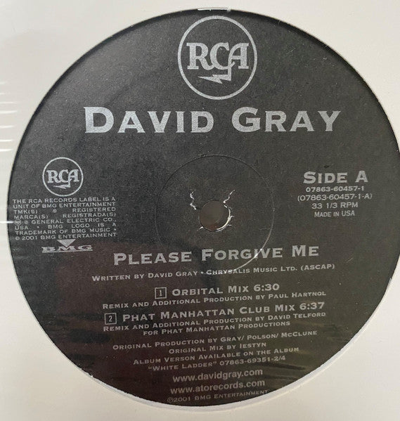 David Gray Vs. Orbital : Please Forgive Me (12")