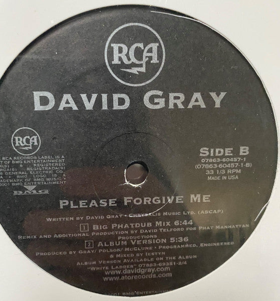 David Gray Vs. Orbital : Please Forgive Me (12")