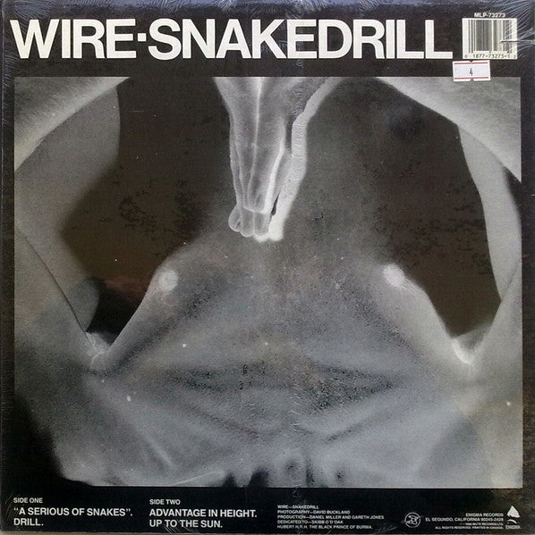 Wire : Snakedrill (12")