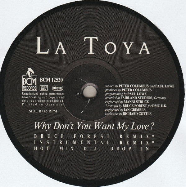 La Toya Jackson : Why Don't You Want My Love? (12")