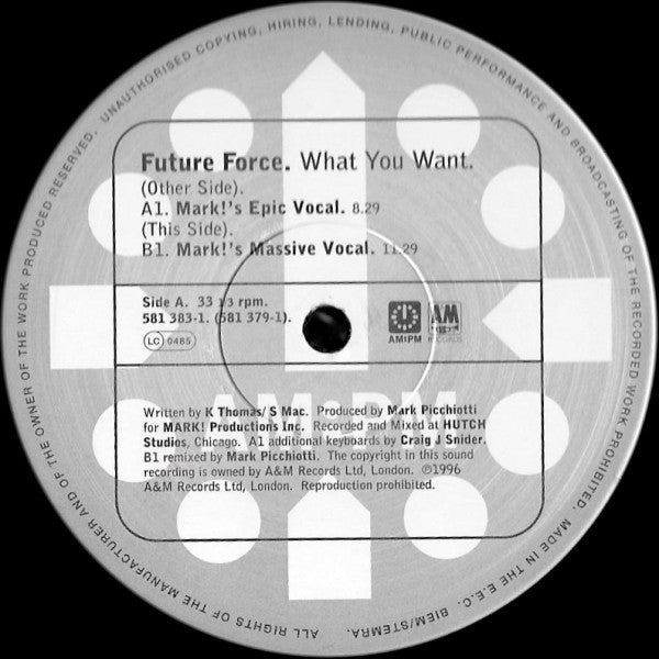 Future Force : What You Want (2x12", Ltd, Promo)