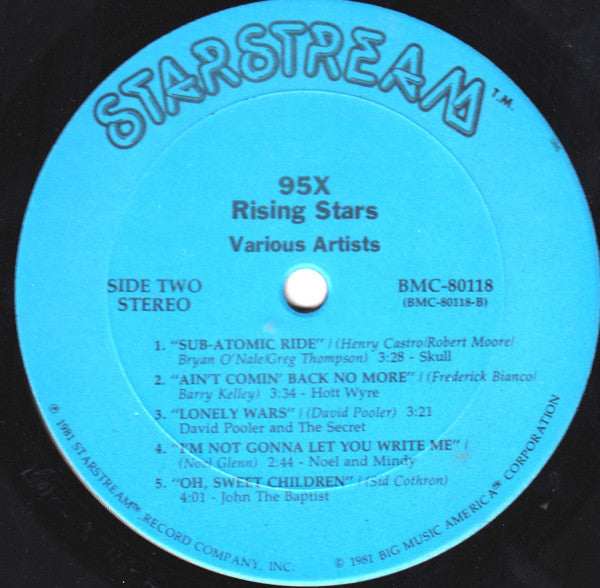 Various Artists* : Rising Stars Best Of 95X (LP)