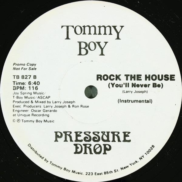 Pressure Drop (2) : Rock The House (You'll Never Be) (12", Promo)