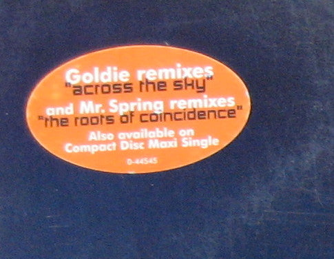 Pat Metheny Group : Across The Sky / The Roots Of Coincidence (12")