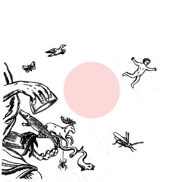 Barbara Morgenstern : Himmel Mixe (12")