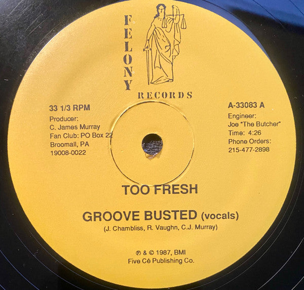 Too Fresh : Groove Busted (12")