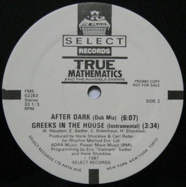 True Mathematics And The Invisible Empire (2) : After Dark (12", Promo)