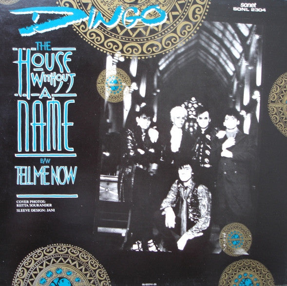 Dingo : The House Without A Name (12")