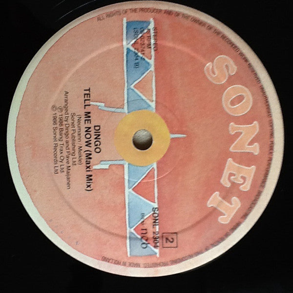 Dingo : The House Without A Name (12")