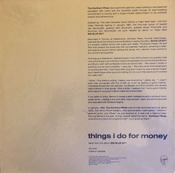 The Northern Pikes : Things I Do For Money (12", Promo)