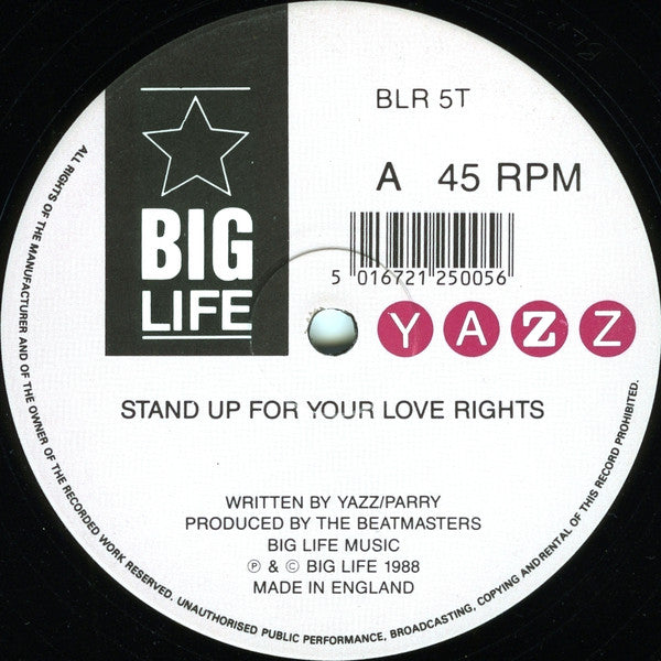 Yazz : Stand Up For Your Love Rights (12", Single)