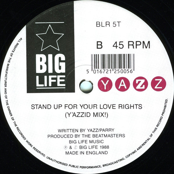 Yazz : Stand Up For Your Love Rights (12", Single)