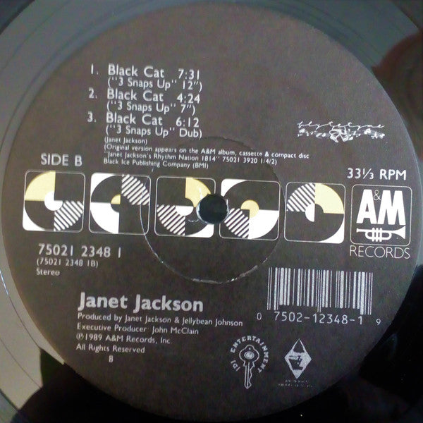 Janet Jackson : Black Cat (12", Single)