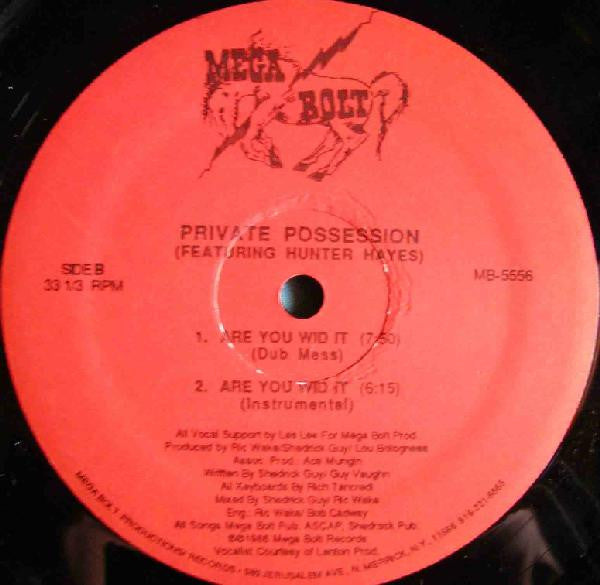 Private Possession Featuring Hunter Hayes : Are You Wid It (12")