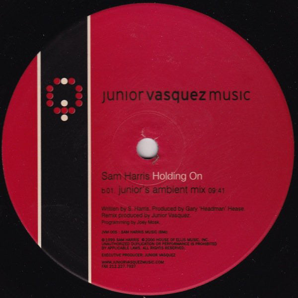 Sam Harris (2) : Holding On (12")