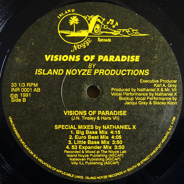 Island Noyze Productions : Visions Of Paradise (12")