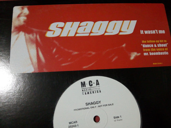 Shaggy : It Wasn't Me (12", Promo)