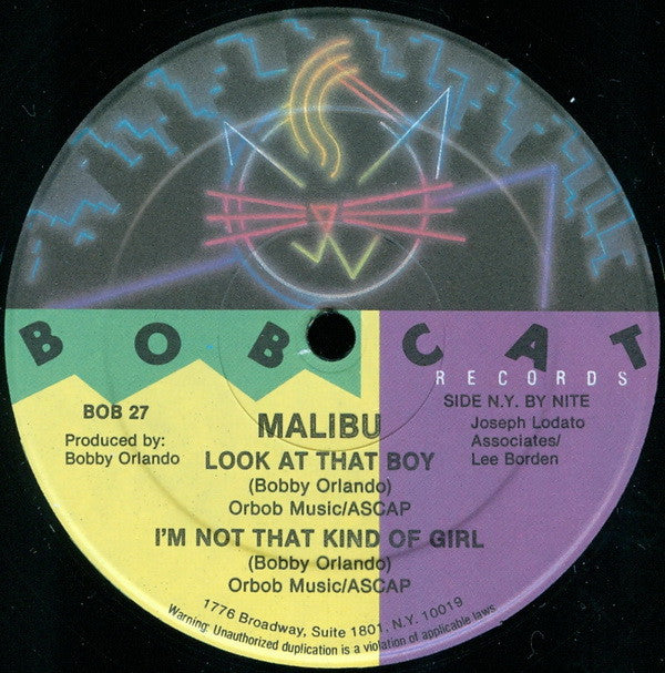 Malibu (2) : Goin Cruisin (12")