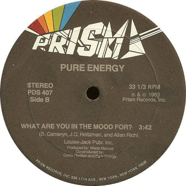 Pure Energy : When You're Dancin' / What Are You In The Mood For? (12")