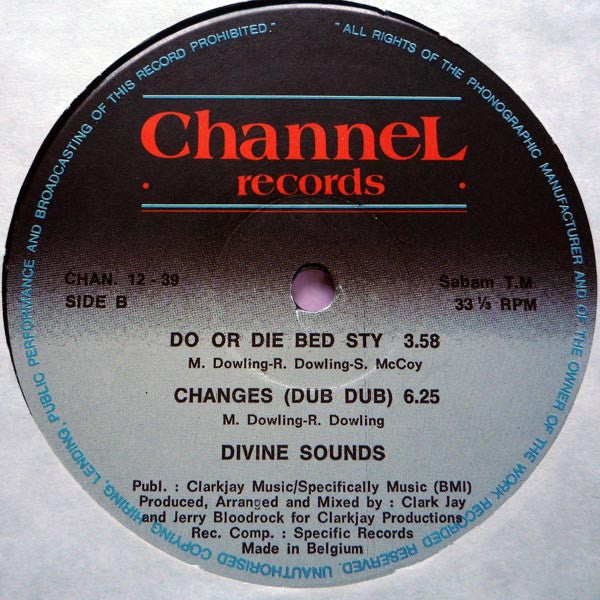 Divine Sounds : Changes (We Go Through) (12")