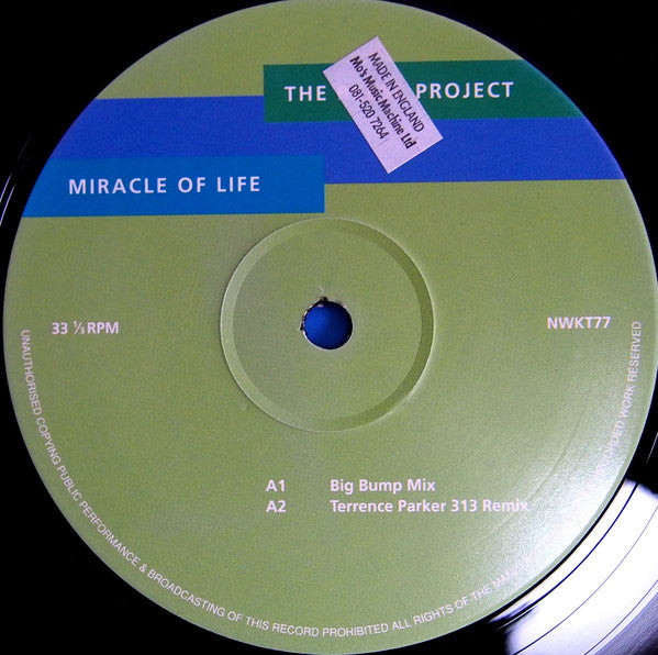 The Reese Project : Miracle Of Life (12", Ltd)