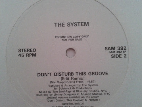 The System : Don't Disturb This Groove (12", Single, Promo)
