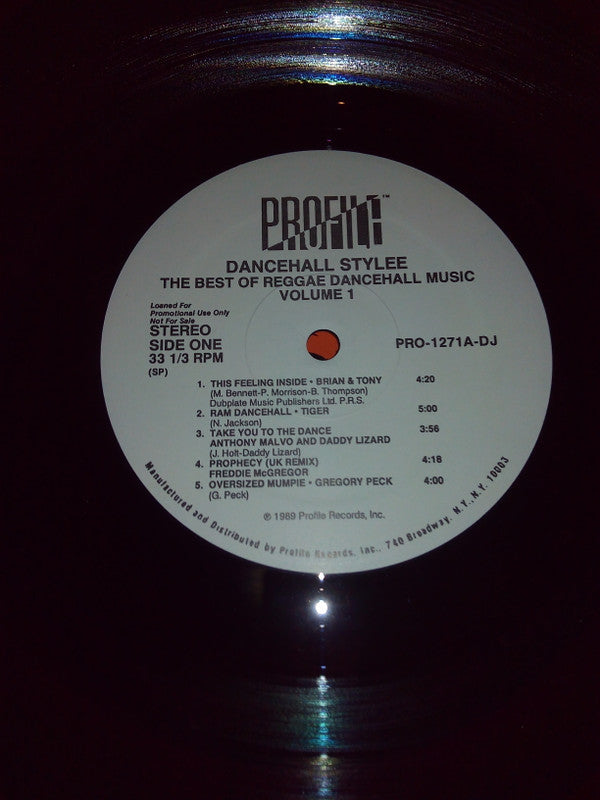 Various : Dancehall Stylee (The Best Of Reggae Dancehall Music Vol. 1) (LP, Comp, Promo)