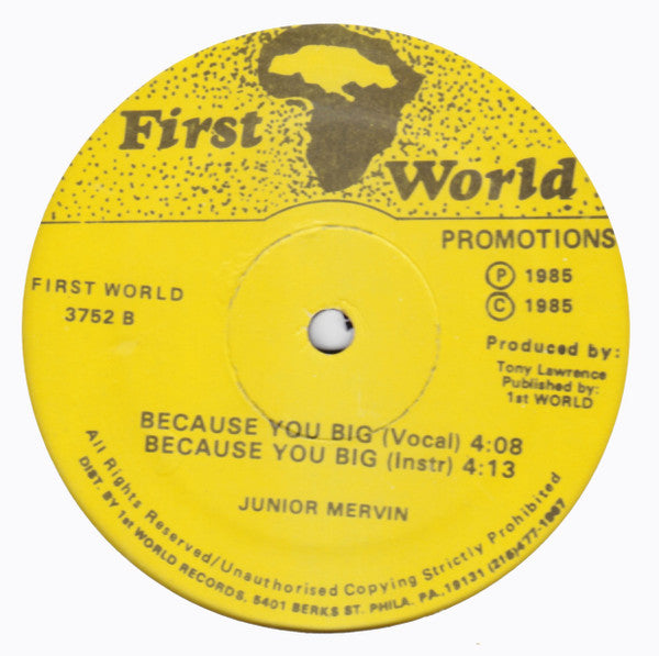 Junior Murvin : Just My Imagination / Because You Big (12")
