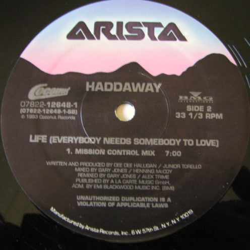 Haddaway : Life (Everybody Needs Somebody To Love) (12")