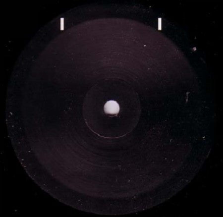 Tigerhook Corp. : THC EP 1 (12", EP, TP)