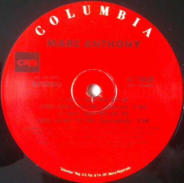 Marc Anthony : You Sang To Me (12")