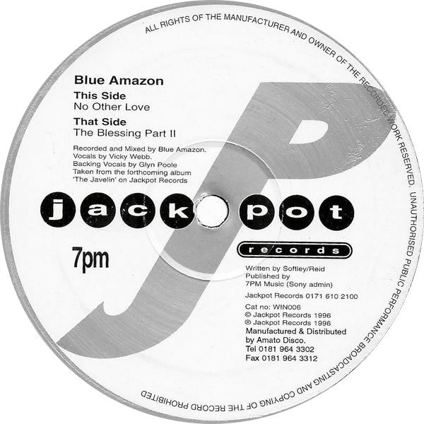Blue Amazon : No Other Love (12")