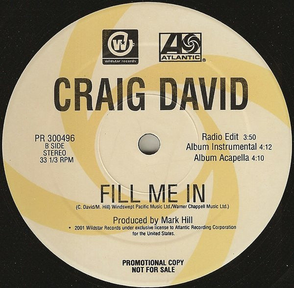 Craig David : Fill Me In (12", Promo)